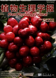 <b style='color:red'>植物</b>生理学报