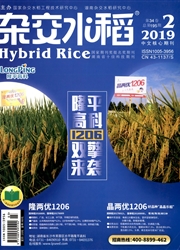 杂交水稻