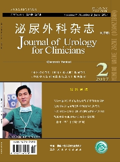 泌尿外科杂志（电子版）