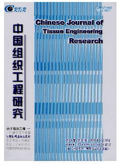 中国组织工程研究