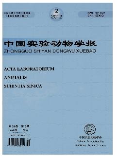 中国实验动物学报