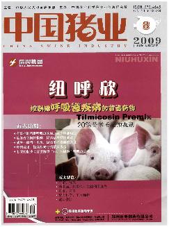 中国猪业