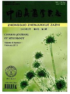 中国真菌学杂志