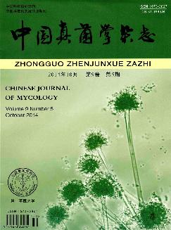 中国真菌学杂志